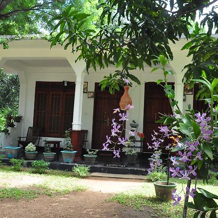 Sigiriya Flower Guest Exterior foto