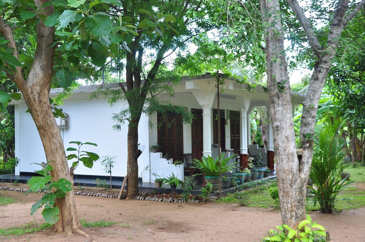 Sigiriya Flower Guest Exterior foto